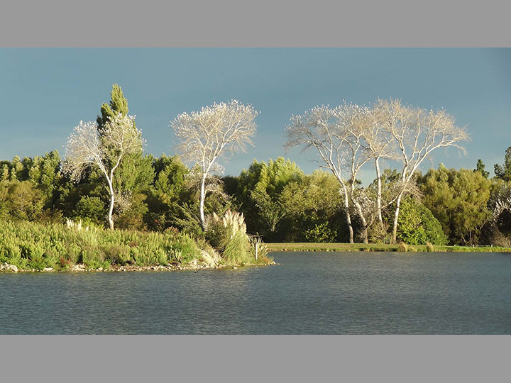 Lake Henly, Masterton - New Zealand